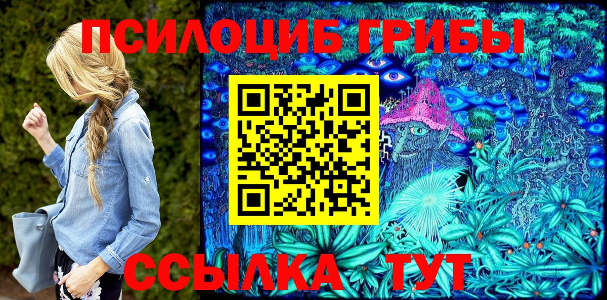 Северобайкальск  Галлюциногенные грибы Magic Shrooms  Вход с VPN 