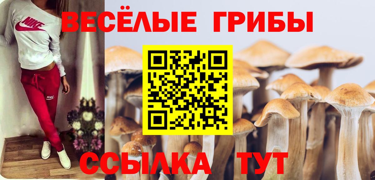 Псилоцибиновые грибы Magic Shrooms Северобайкальск